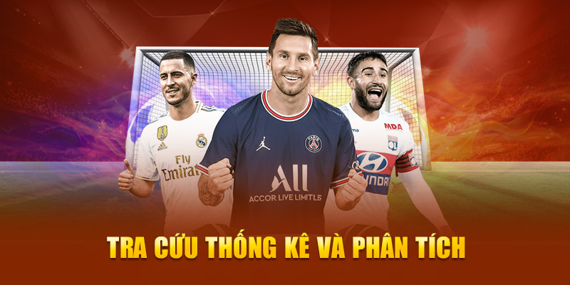 Tra cứu thống kê và phân tích